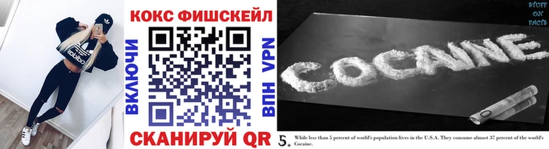 Купить закладки  Козловка  COCAIN 97% 